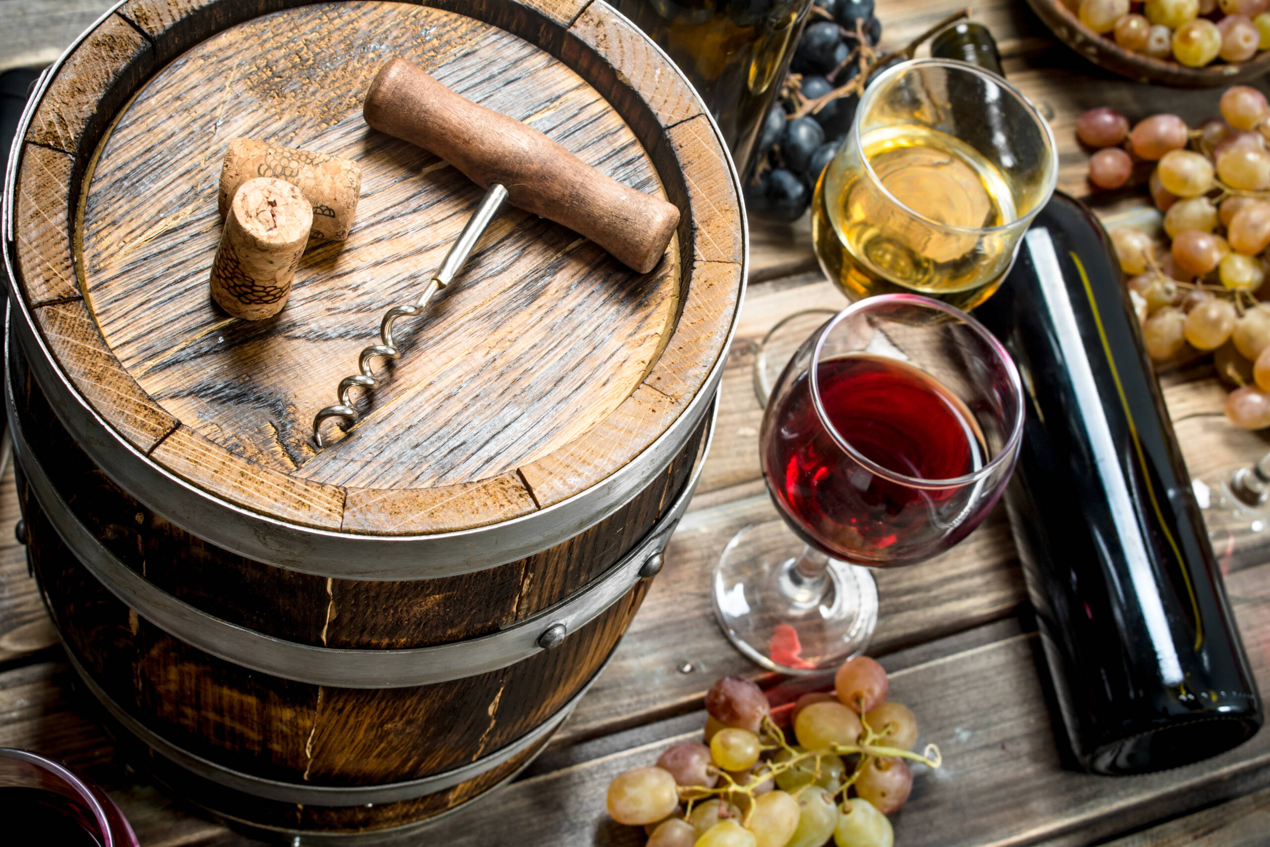 Wine tasting and tour